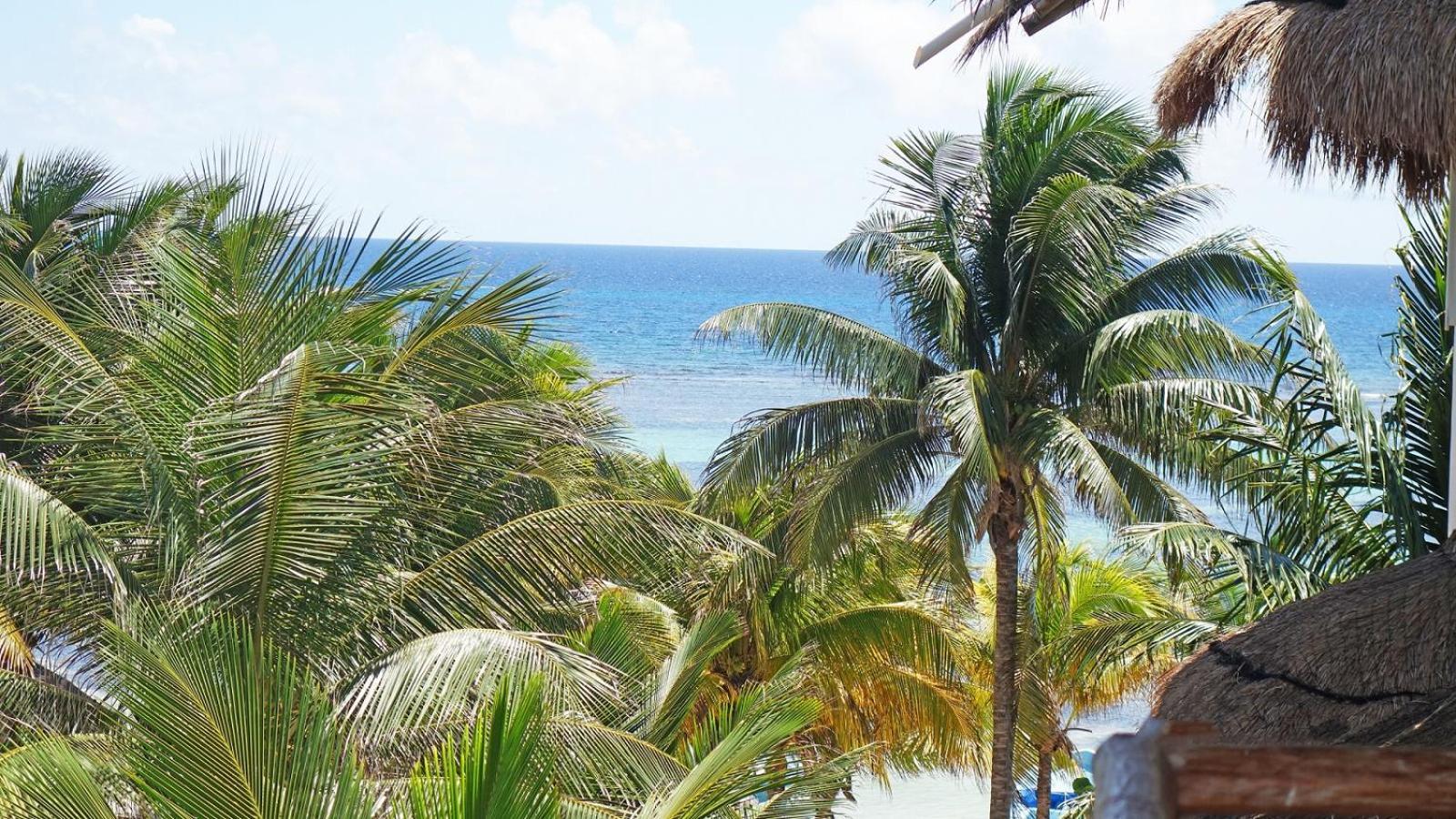 El Fuerte Beach Apartments Mahahual Cameră foto